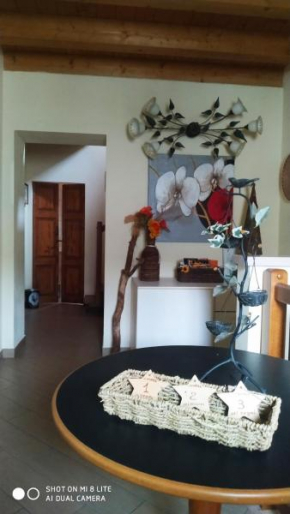 Il Tempo Dei Sogni, San Benedetto Po
